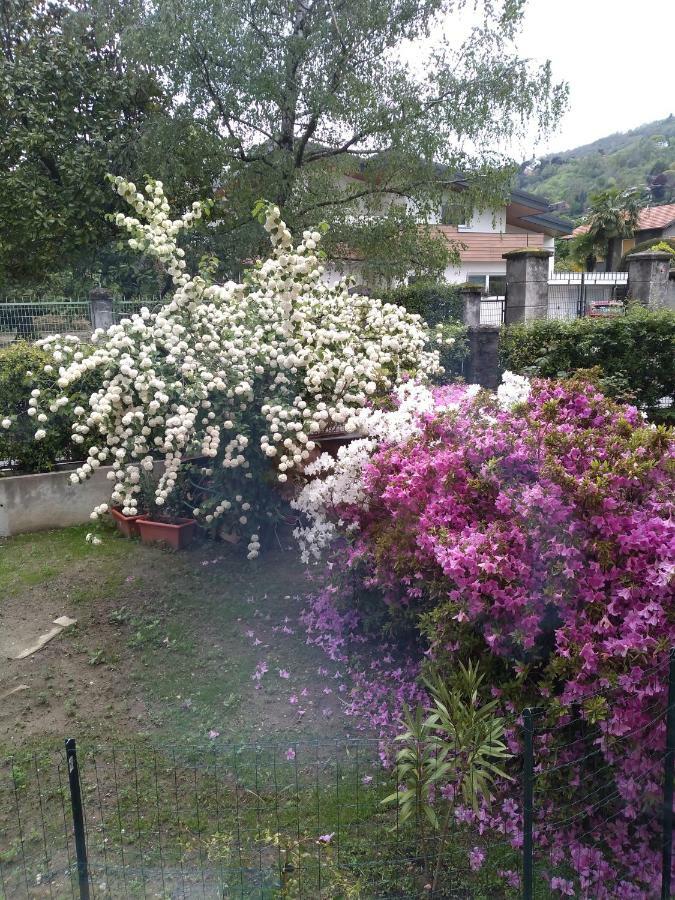 Casa Orisca Villa Lesa Bagian luar foto